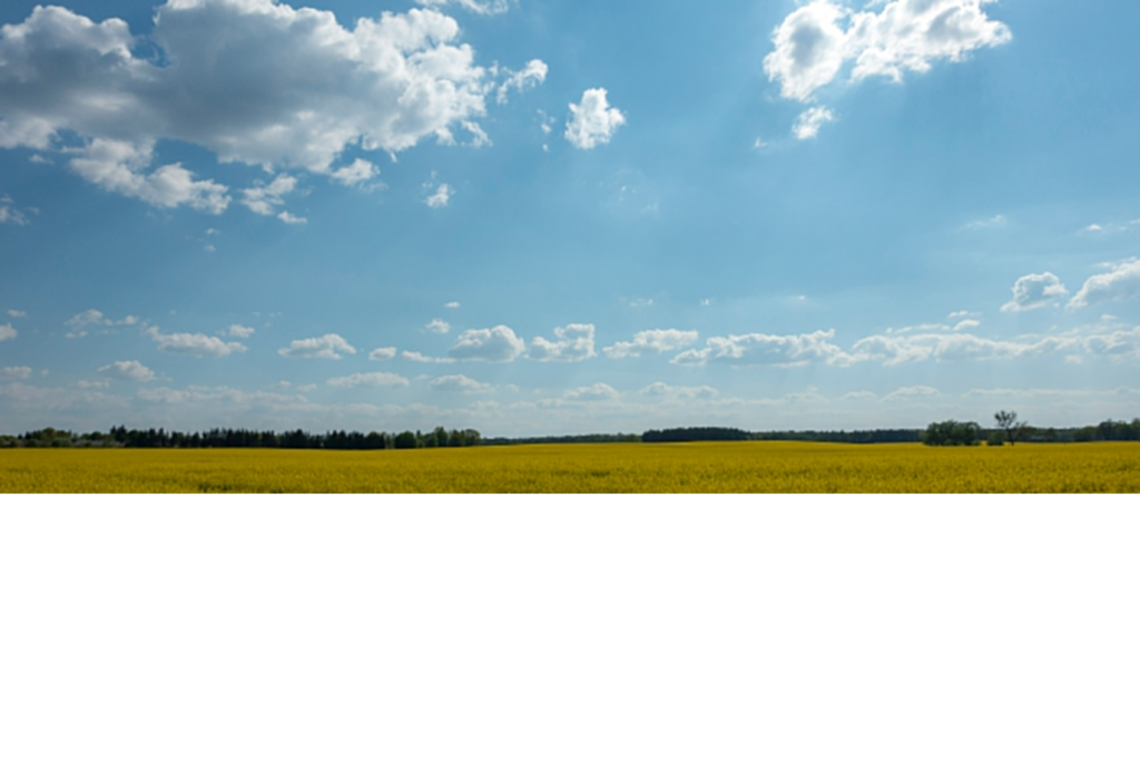 Il Ruolo delle Energie Rinnovabili nel Raggiungimento delle Emissioni Nette a Zero