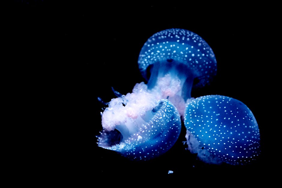 Perché Frutta e Verdura Sono Meno Nutrienti Oggi? Un’Analisi Profonda