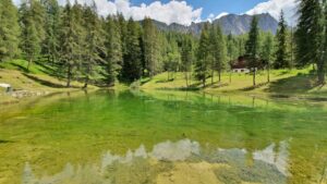 Come Piantare le Patate: Guida Completa per un Orto Rigoglioso