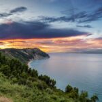 La Scienza del Pan Bauletto: 5 Segreti del Pane Industriale Spiegati