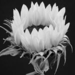 Merito Creditizio: Guida Completa ai 5 Fattori Che Influenzano il Tuo Rating in Italia