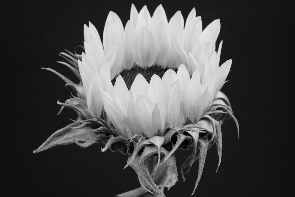 Merito Creditizio: Guida Completa ai 5 Fattori Che Influenzano il Tuo Rating in Italia