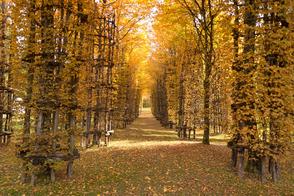 Come Utilizzare le Foglie Autunnali nel Tuo Giardino: 4 Metodi Sostenibili