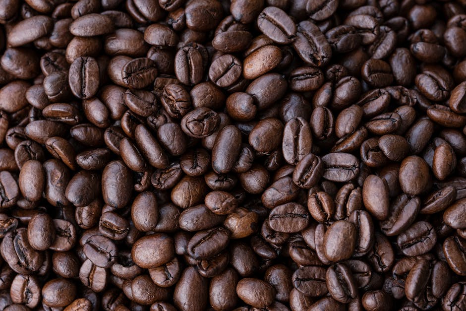 Il Futuro del Caffè: Sostenibilità, Commercio Equo e Resilienza al Cambiamento Climatico