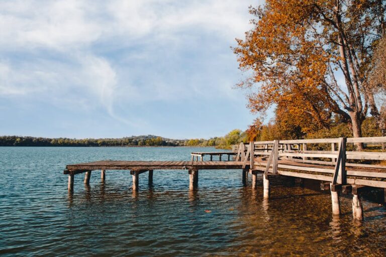 Come Gestire un Attacco di Panico: La Verità in 60 Secondi (Non Fare Nulla)