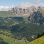 Cosa Piantare ad Agosto nell’Orto in Italia: Guida per Raccolti Autunnali e Invernali