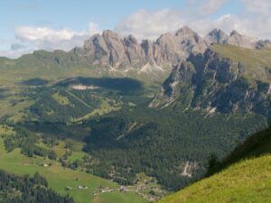 Cosa Piantare ad Agosto nell'Orto in Italia: Guida per Raccolti Autunnali e Invernali