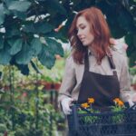 10 Consigli Essenziali per il Giardinaggio in Inverno: Prepara il Tuo Orto!