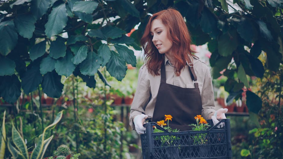 10 Consigli Essenziali per il Giardinaggio in Inverno: Prepara il Tuo Orto!