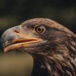 Vertigini da Ansia: Capire, Gestire e Superare i Capogiri Legati allo Stress