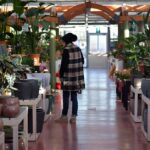 Giardinaggio Sostenibile: 12 Modi per Salvare il Pianeta dal Tuo Giardino