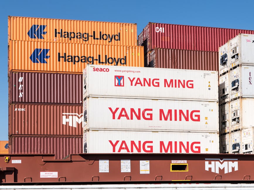 Capire il Trasporto Marittimo Globale: Efficienza, Complessità e Sfide Attuali
