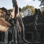Metropoli Maya Nascosta e Segreti delle Civiltà Antiche Perdute in Guatemala e Amazzonia