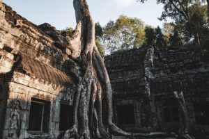 Metropoli Maya Nascosta e Segreti delle Civiltà Antiche Perdute in Guatemala e Amazzonia
