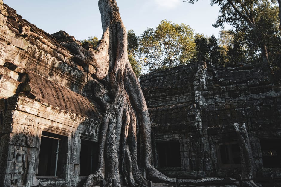 Metropoli Maya Nascosta e Segreti delle Civiltà Antiche Perdute in Guatemala e Amazzonia
