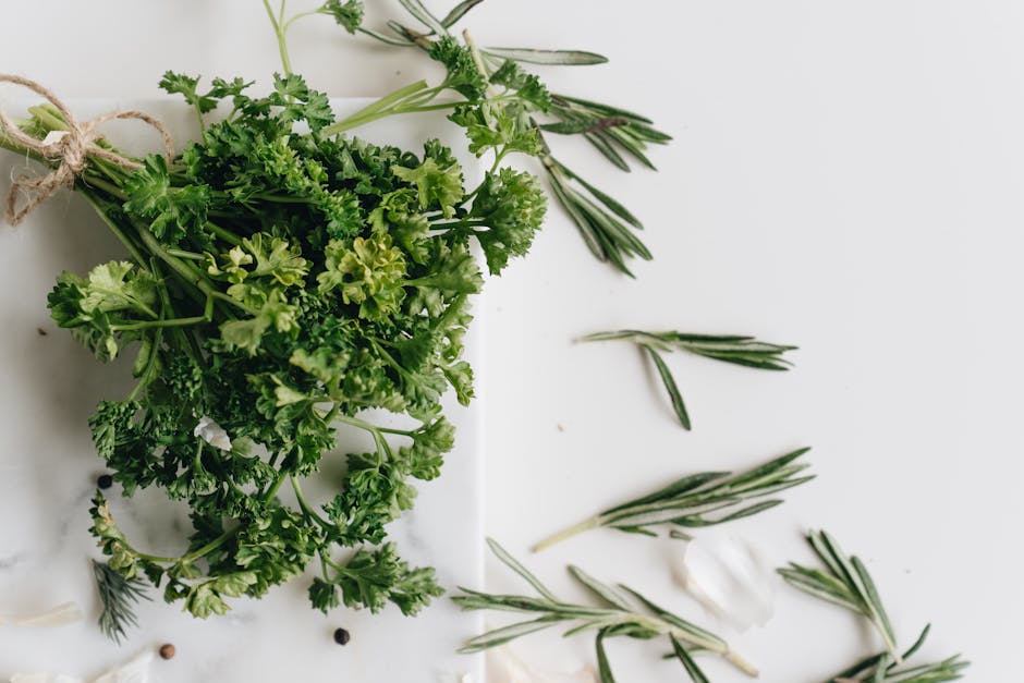 Guida Completa all'Uso delle Erbe Aromatiche in Cucina: Segreti e Abbinamenti