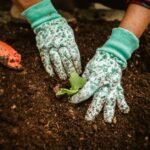 9 Errori Comuni nel Giardinaggio per Principianti (e Come Evitarli)