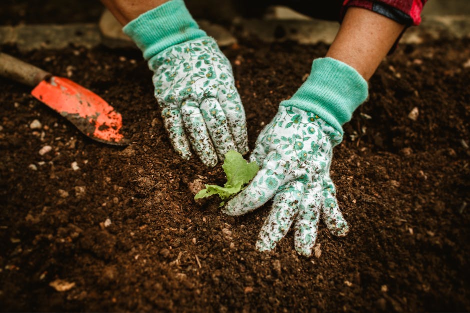 9 Errori Comuni nel Giardinaggio per Principianti (e Come Evitarli)