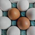 Uova Bianche vs Marroni: Sfatato il Mito della Differenza Nutrizionale