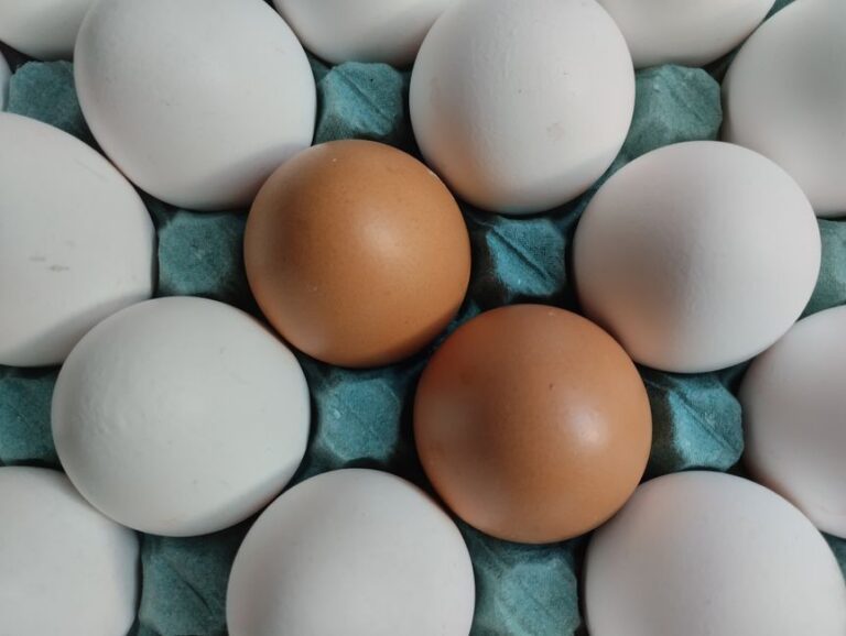 Uova Bianche vs Marroni: Sfatato il Mito della Differenza Nutrizionale