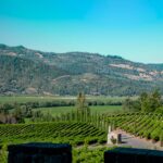 Guida Completa alla Napa Valley: Cosa Fare, Vedere e Mangiare | Viaggio USA