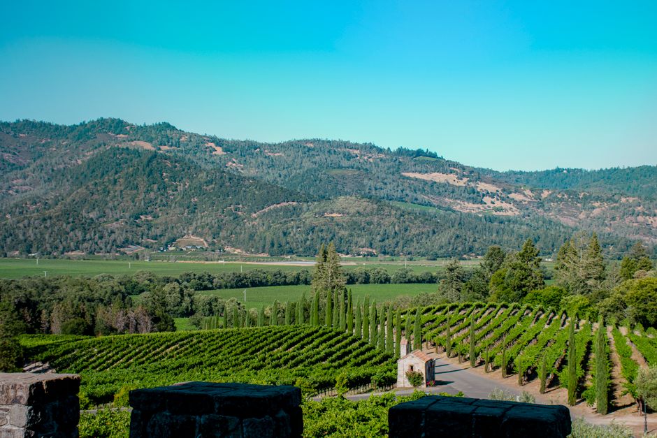 Guida Completa alla Napa Valley: Cosa Fare, Vedere e Mangiare | Viaggio USA