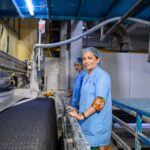 Cos’è la Fibra di Vetro: Dalla Produzione agli Usi Comuni e al Riciclo
