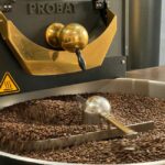 Il Viaggio del Caffè: Dalla Pianta alla Tazza di Solubile