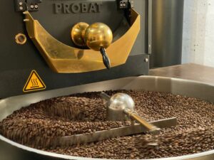Il Viaggio del Caffè: Dalla Pianta alla Tazza di Solubile