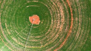 Costruzione e Funzionamento dei Sistemi di Irrigazione a Pivot Centrale: La Tecnologia Dietro i Cerchi Verdi nei Campi